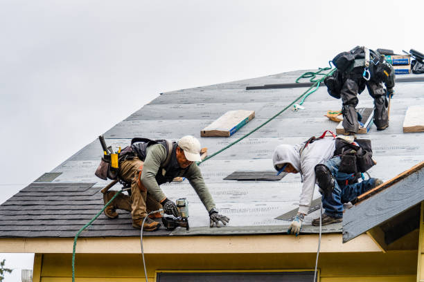 Professional Roofing technician working in Erie, ND